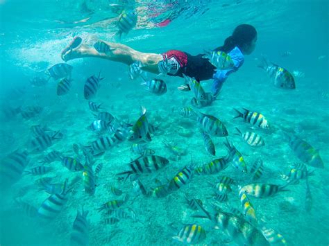 THE TOP 10 Snorkeling in Cebu (w/Prices) .
